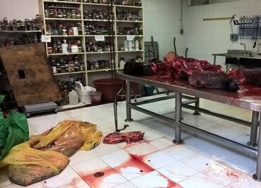 Hay registro de quién fotografió necropsia de "Bantú": Mancera