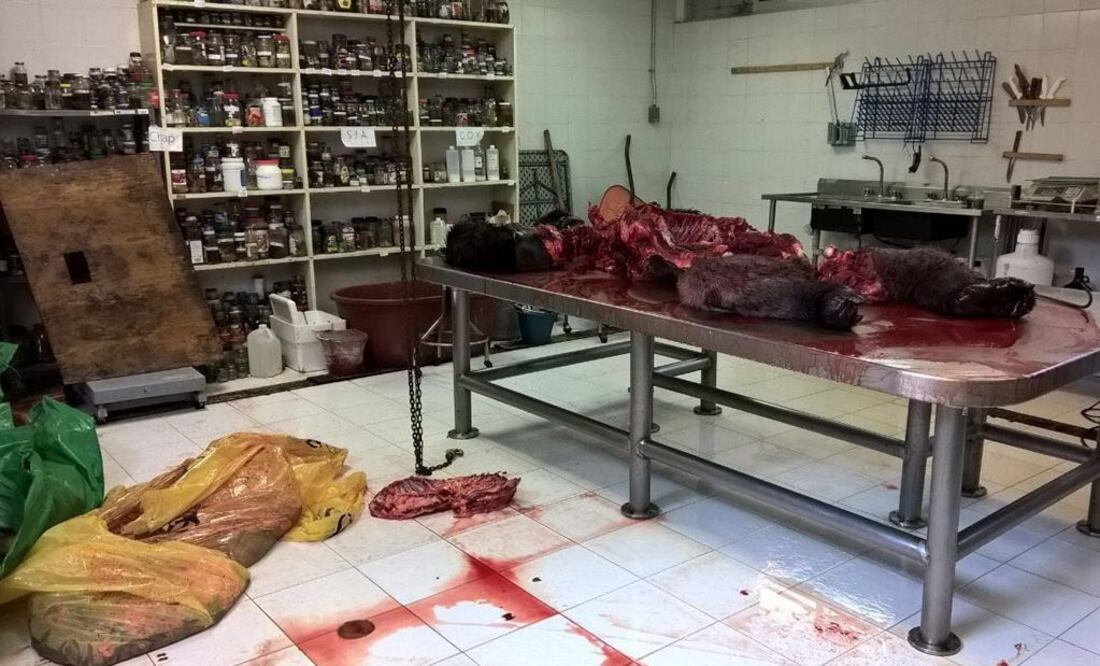 Hay registro de quién fotografió necropsia de "Bantú": Mancera