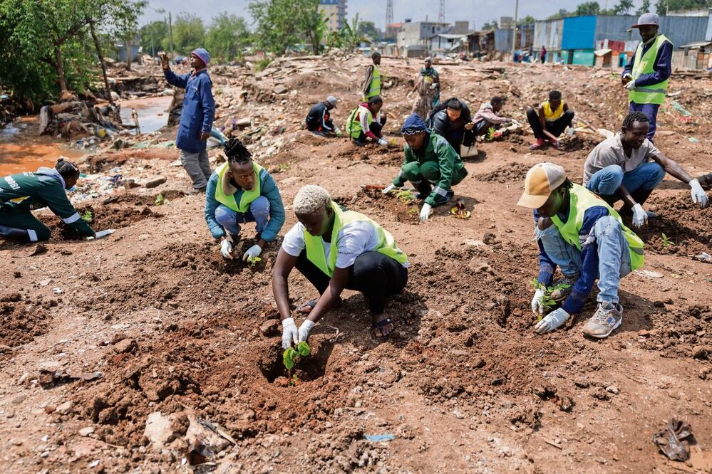 Habitantes de Nairobi plantaron árboles en honor a los que murieron en las recientes inundaciones, al conmemorar el Día Mundial del Medio Ambiente.. Foto: de Simón Maina. AFP