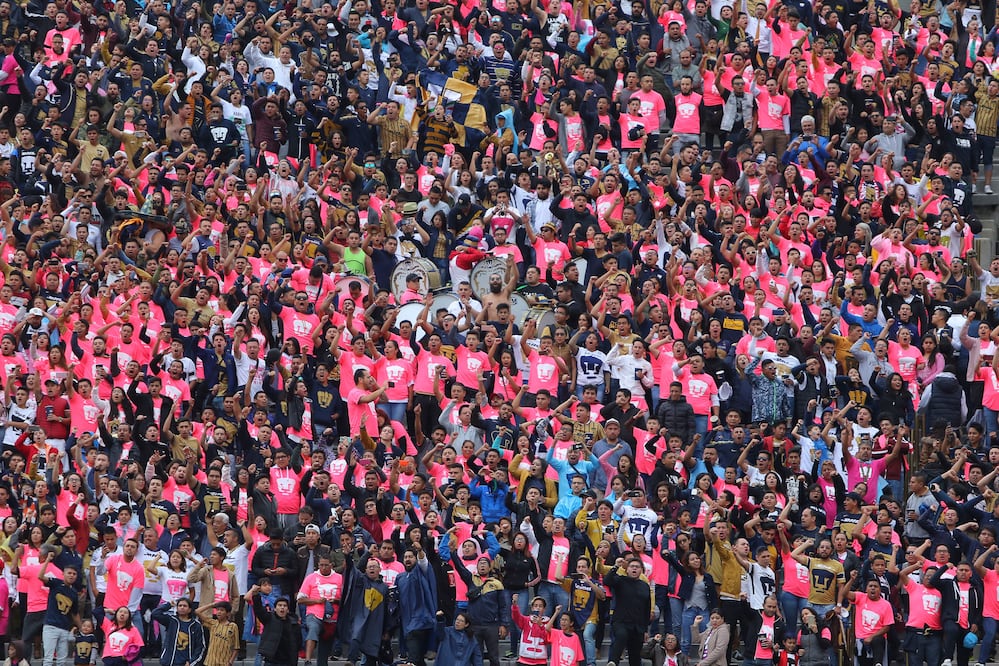 Pumas, el segundo equipo más popular de la CDMX: Roy Campos
