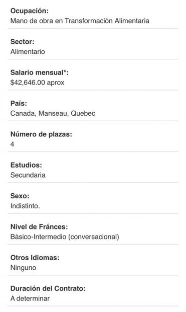 Canadá tiene ofertas laborales para mexicanos sin hablar inglés