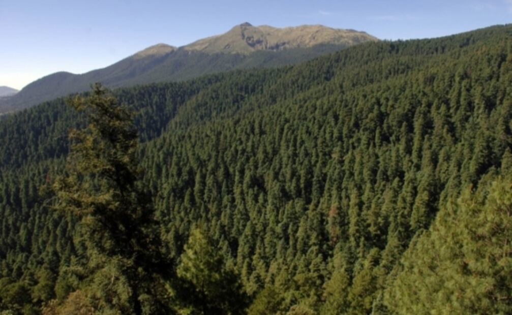 5 parques ecoturísticos cerca de CDMX