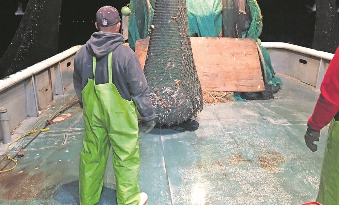 La caza ilegal de la totoaba preocupa a EU, al igual que la de la vaquita marina. Foto: ARCHIVO EL UNIVERSAL