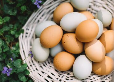 Trucos para conservar y cocinar los huevos