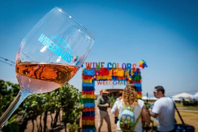 Así será el Wine Colors Music Fest en Viñedos La Redonda