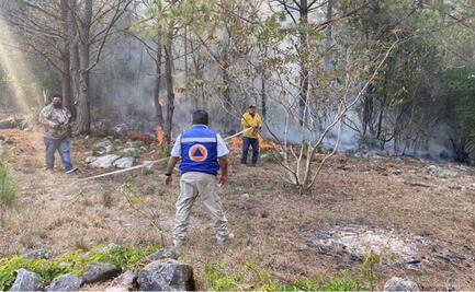 Más de 300 personas combaten incendio en El Cielo en Tamaulipas