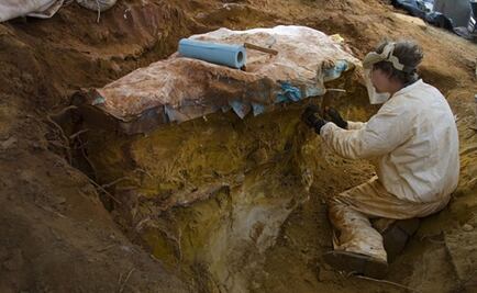 Huellas de dinosaurios arrojan luz sobre evolución