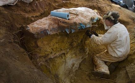 Huellas de dinosaurios arrojan luz sobre evolución