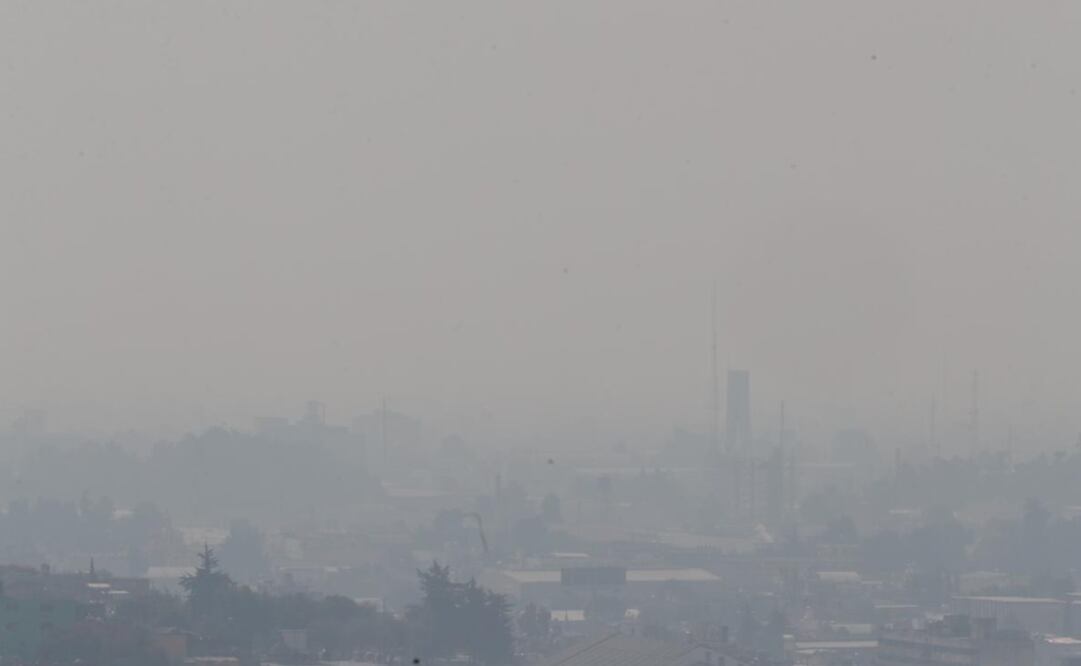 Fotografía: Jorge Alvarado/ EL UNIVERSAL