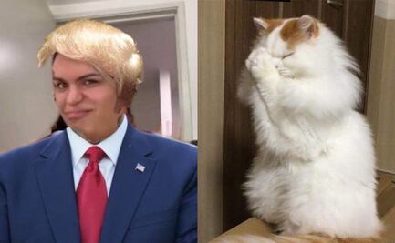 Los mejores memes del altercado entre Trump y Zelensky; usuarios temen a Tercera Guerra Mundial