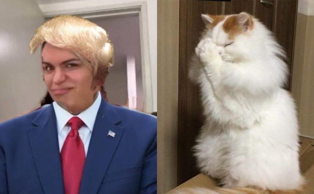 Internautas reaccionan con memes al encuentro entre Trump y Zelensky