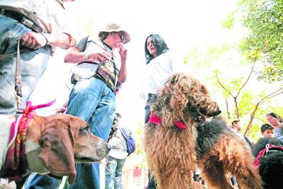 Presenta Anguiano su proyecto para mascotas