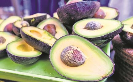 Aguacate mexicano, sin fronteras