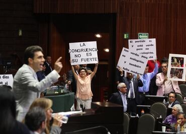 Oposición vuelve a impedir prohibición a delfinarios