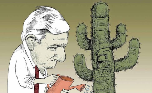 Cosechando en Palenque