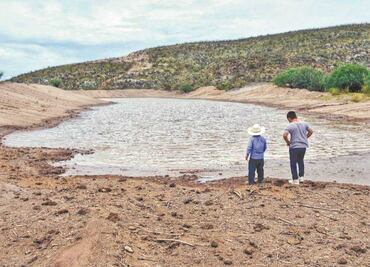 Productores de nuez cederían agua para saciar a Monterrey