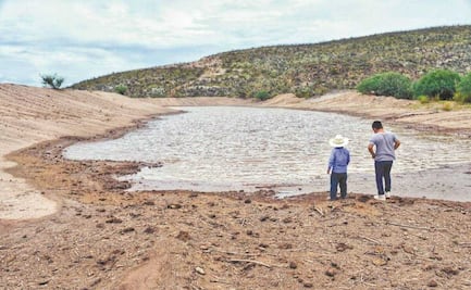 Productores de nuez cederían agua para saciar a Monterrey