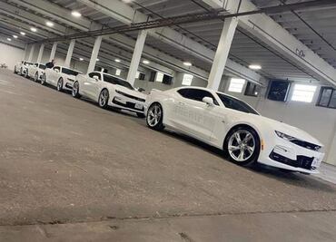 Policía de Texas utiliza “autos fantasma” para atrapar conductores infractores