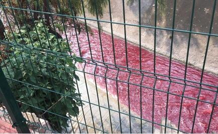 Chemicals from textile company dye a river red in State of Mexico