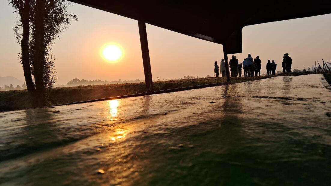 Este tour en Xochimilco incluye una trajinera para máximo 18 personas. Foto: trajinerasxochimilco.com