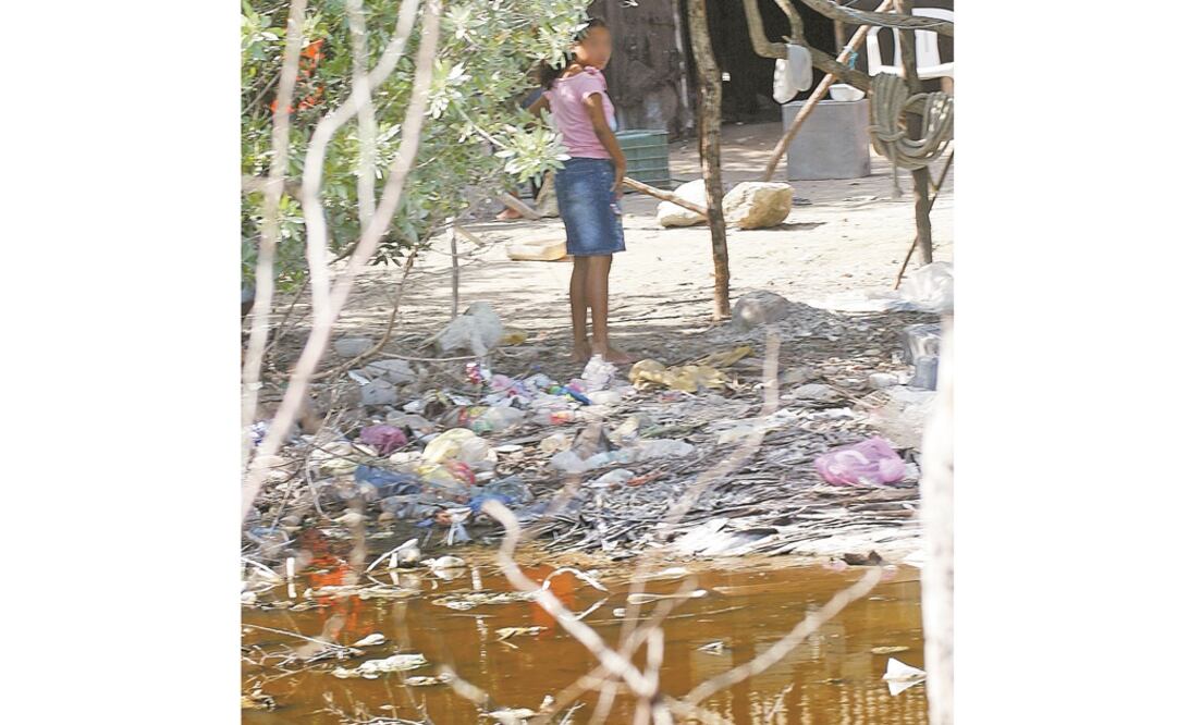 Pese a que los casos de dengue aumentaron en Yucatán, el sector Salud indicó que la situación está “relativamente bien”. Foto: ARCHIVO EL UNIVERSAL
