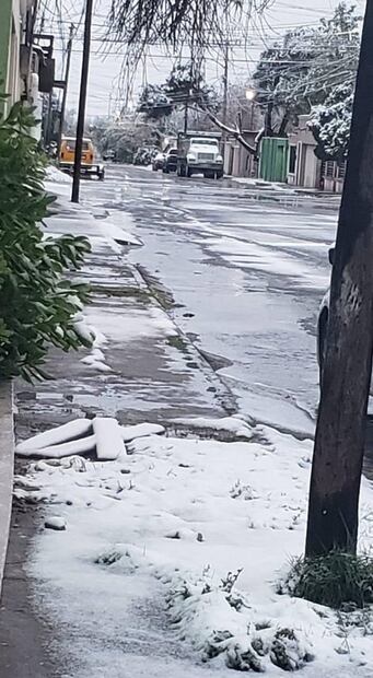 Familias disfrutan de nevada en 7 municipios de Coahuila previo a la entrada de la primavera 