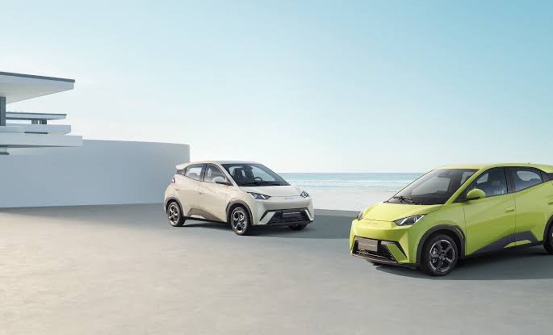 En total se comercializaron 8 mil 334 vehículos eléctricos. Foto: BYD