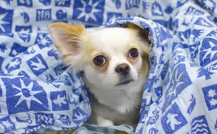 ¿A qué hora hará más frío hoy, 14 de diciembre de 2021?