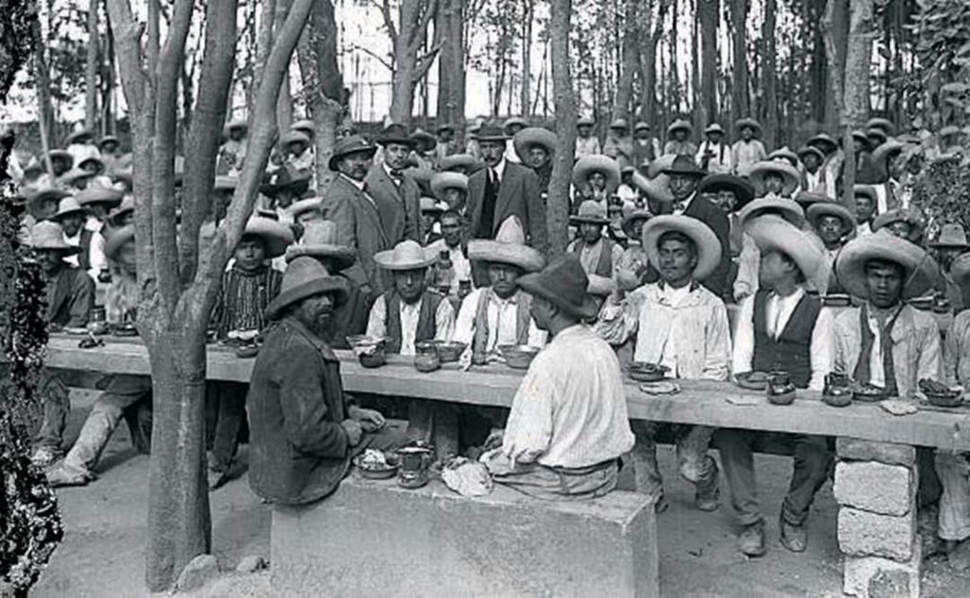 La revolución de la comida