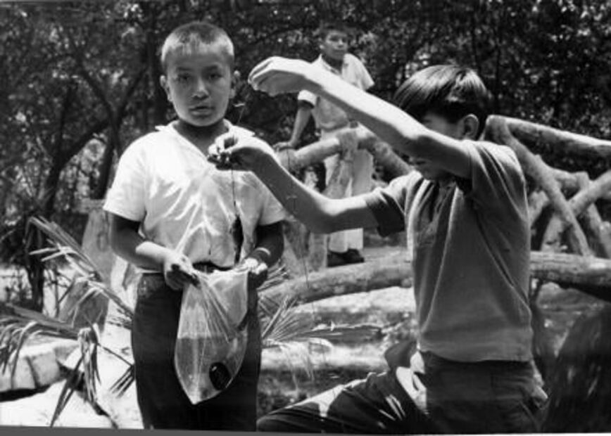 Cuando se iba a pescar al lago de Chapultepec