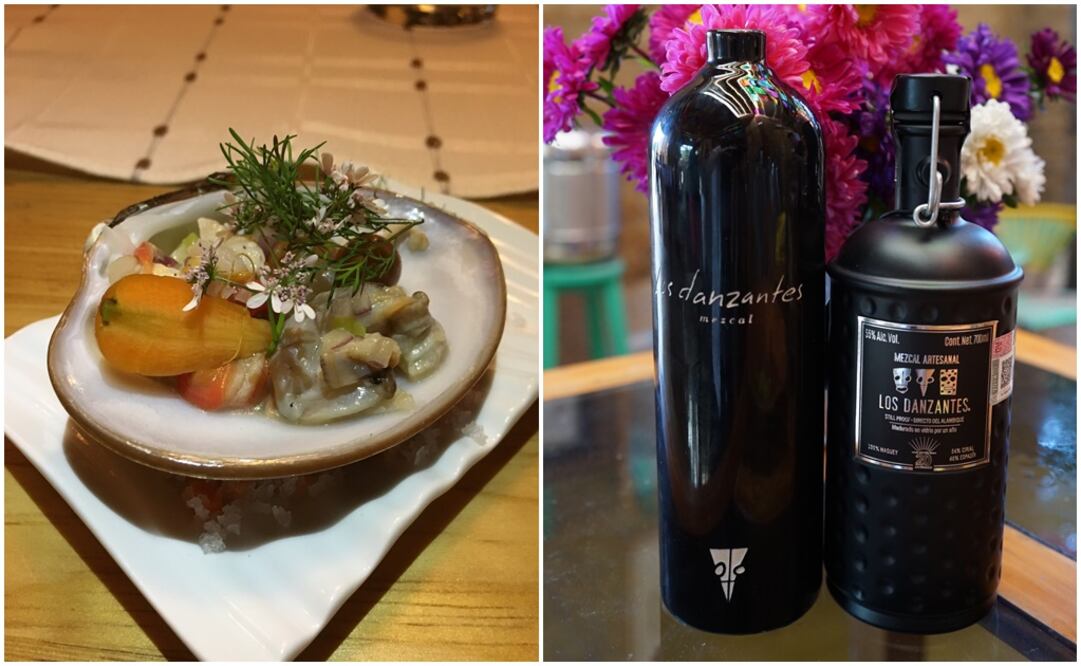 fotos: Mariana Castillo