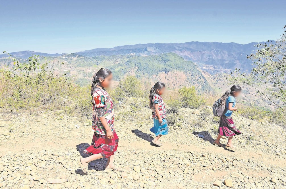 Foto: Archivo/EL UNIVERSAL