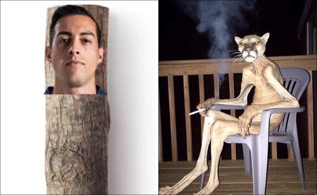 Los MEJORES MEMES de Pumas