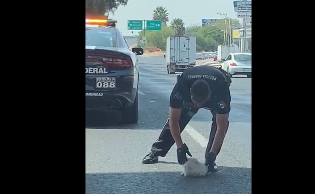 Foto: Captura de video