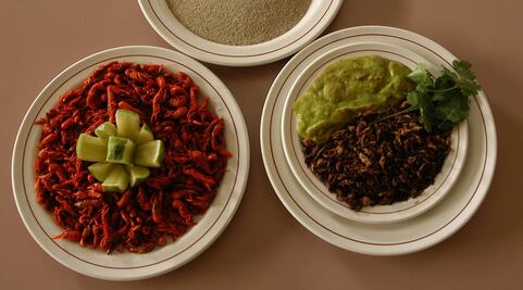 La gastronomía ya contará con su propio diccionario panhispánico