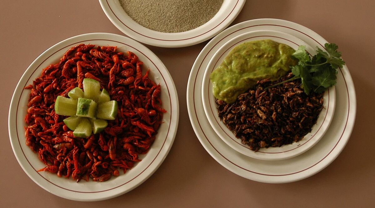 Imagen ilustrativa de platillos mexicanos. Foto: EFE/Mario Guzmán