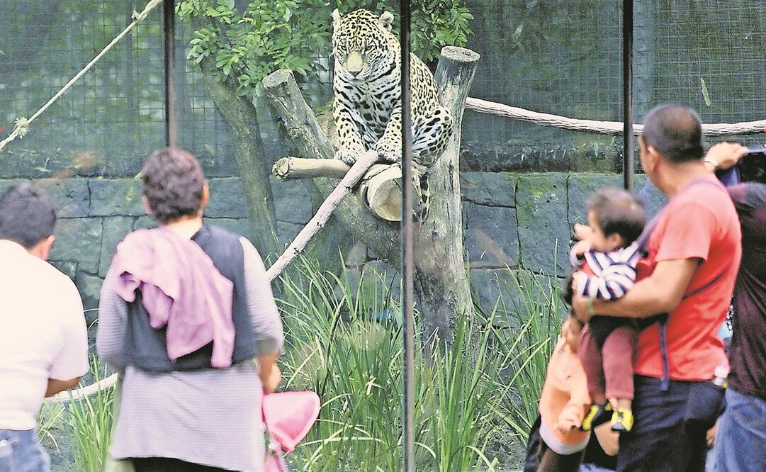 Foto: Archivo/EL UNIVERSAL