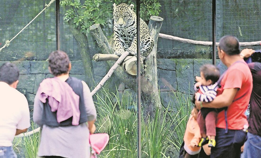 Foto: Archivo/EL UNIVERSAL