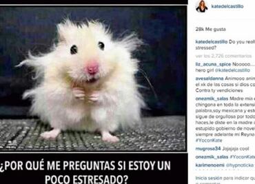 Kate del Castillo jokes about her stress levels