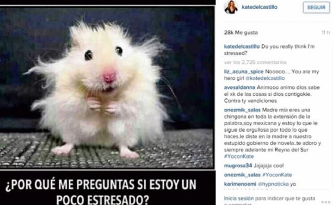 This is the second time Kate del Castillo refers to her dealings with Joaquín “El Chapo” Guzmán. (Photo: Taken from Instagram @katedelcastillo)