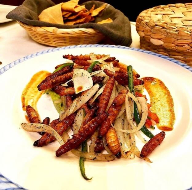 Lugares para comer bichos en CDMX