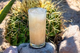 Qué es el agua de borrachita y cómo prepararla en casa