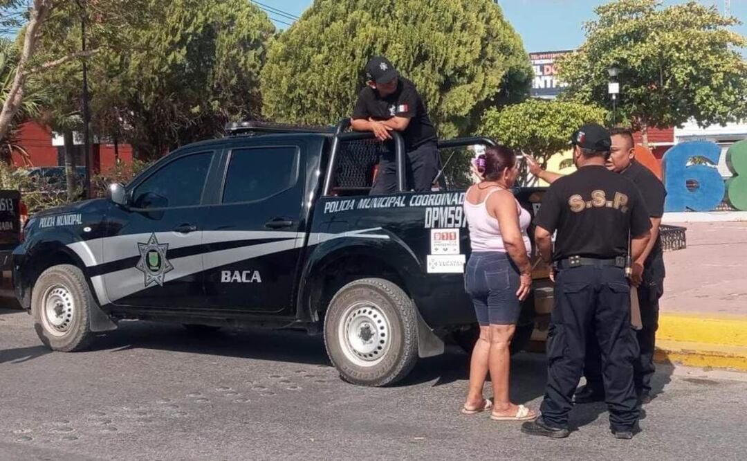 El caso de la perrita abandona ocurrió en el municipio de Baca, Yucatán (03/06/2025). Foto: Especial