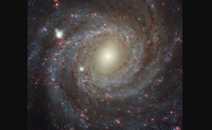 Vinculan las extinciones masivas y la Vía Láctea 