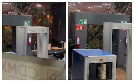 VIDEO: Cae árbol de 8 metros sobre edificio sede de la Secretaría de Seguridad capitalina; no hay lesionados