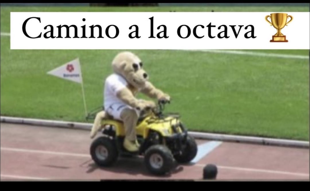 Los mejores memes de la victoria de Pumas en Pachuca