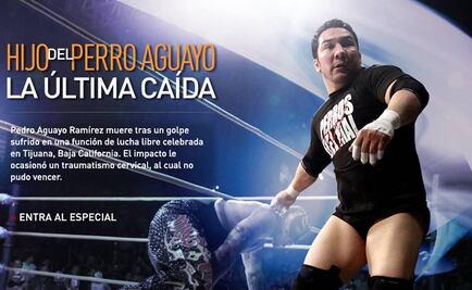 Muerte del Perrito genera tres millones de clicks