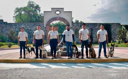 Perritos vs gusano barrenador; Senasica suma a seis canes al equipo peludo de vigilancia contra la plaga