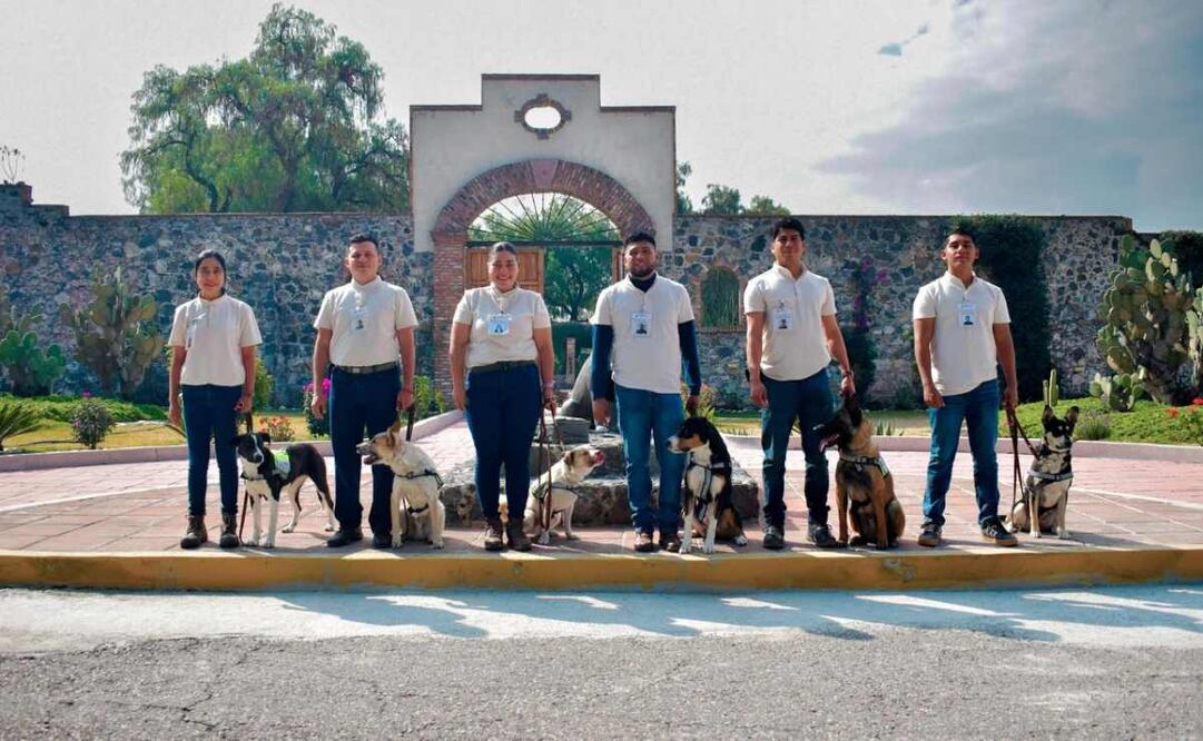 Binomios caninos contra gusano barrenador. Foto: Especial