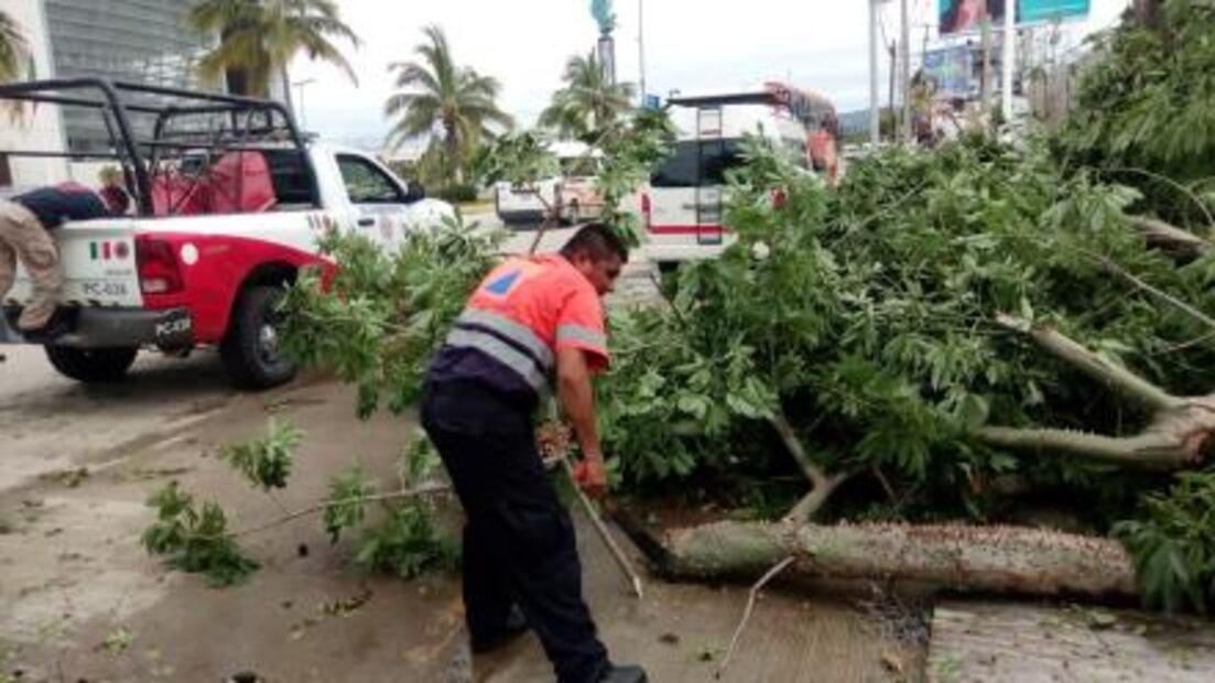 "Carlotta" deja daños en 14 municipios de Guerrero